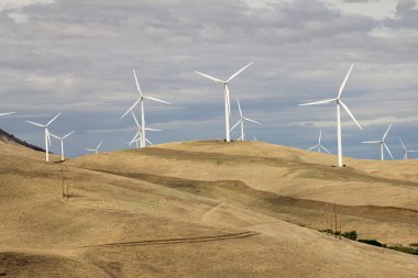goldendale içinde rüzgar türbinleri washington peyzaj