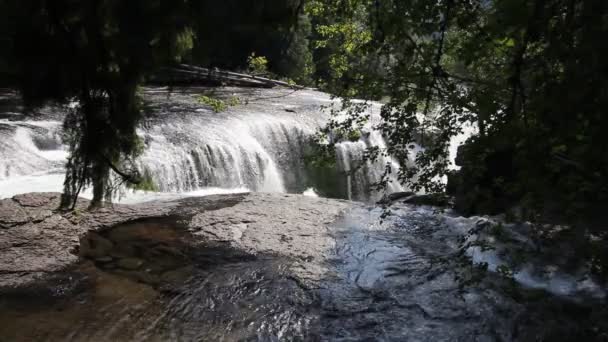 Lower Lewis River Falls en el Condado de Skamania Washington Primer plano 1920x1080 — Vídeos de Stock