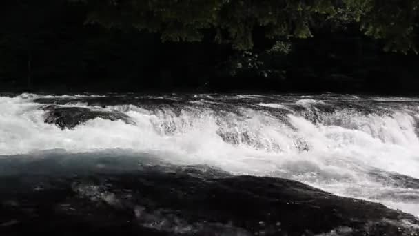 Lägre lewis floden faller i skamania county washington närbild 1920 x 1080 — Stockvideo