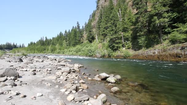 Dolní lewis river je přítokem řeky columbia, která pramení v pohoří v severovýchodních skamania county státu washington 1080p — Stock video