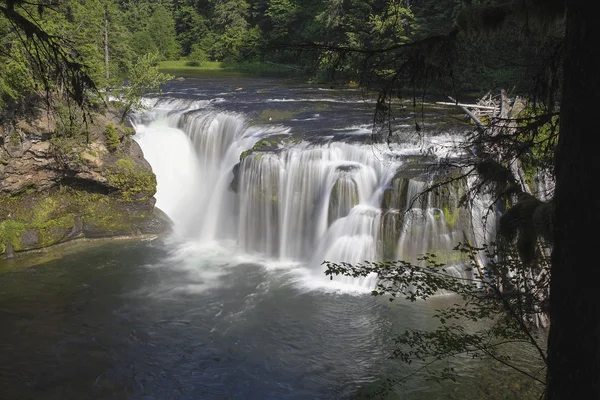 Cascate del fiume Lower Lewis — Foto Stock