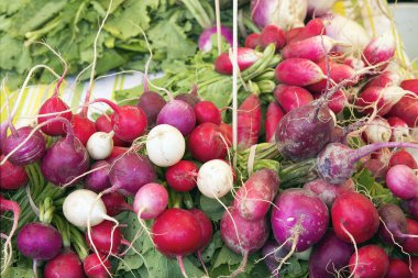Hatıra turp Bunches Çiftçi Market