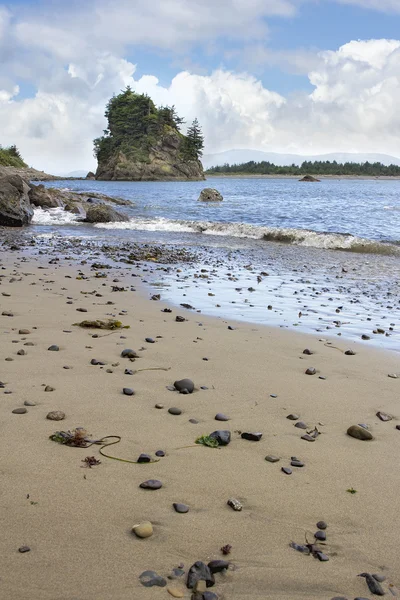 Praia em Garibaldi Oregon — Fotografia de Stock