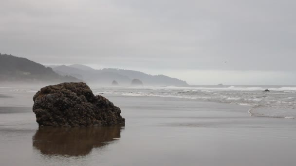 Güzel tablomsu cannon oregon oceanfront adlı madmikeb dalgalar ile bir sisli sabah 1920 x 1080 plaj. — Stok video