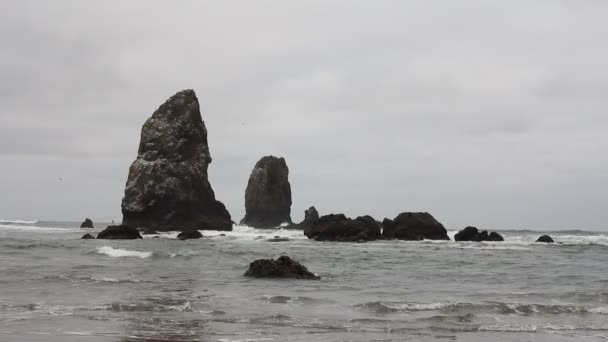 Beautiful Painterly Cannon Beach Oregon Oceanfront at Lowtide with Waves One Early Foggy Morning 1920x1080 — Stock Video