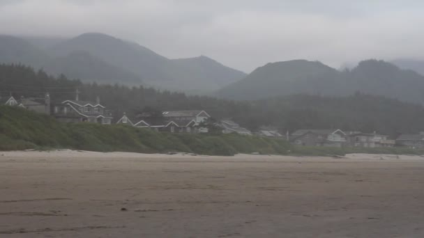 Beautiful Painterly Cannon Beach Oregon Oceanfront at Lowtide with Waves One Early Foggy Morning 1920x1080 — Stock Video