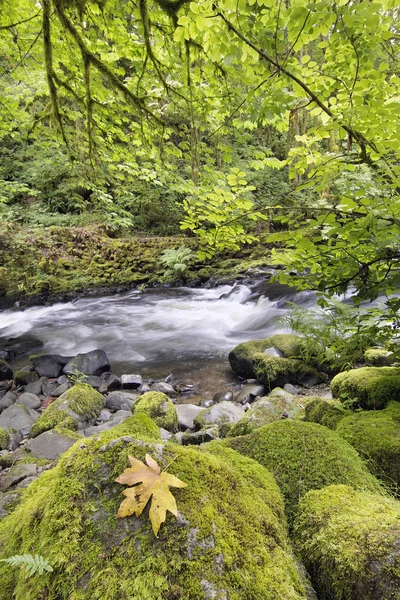 Haasten water met rotsen bij cedar creek staat washington — Stockfoto