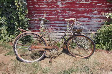 eski paslı bisiklet ile lavanta çiçekleri sepeti