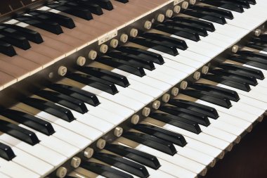 Kilise boru organ portre
