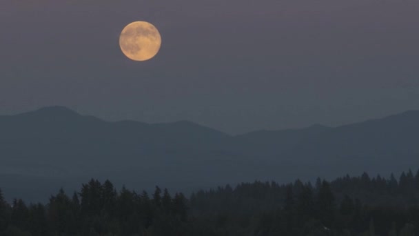 Время восхода Луны над Счастливой Долиной в Орегоне с горным хребтом и деревьями на полнолуние 1920x1080 — стоковое видео