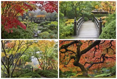 Japon bahçe sonbaharda kolaj