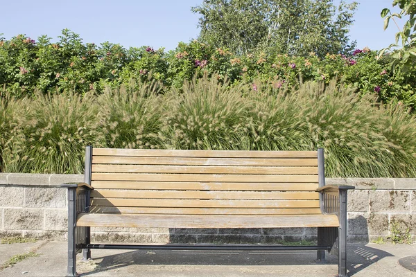 Parkbank met fountaingrass en rozenstruiken — Stockfoto