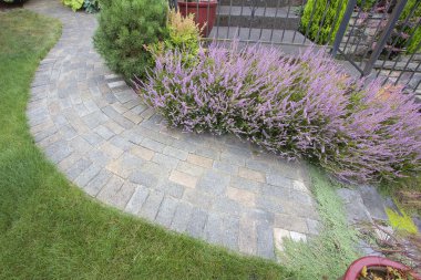 ön Bahçe Bahçe eğrisi finişer yolunu Üstten Görünüm