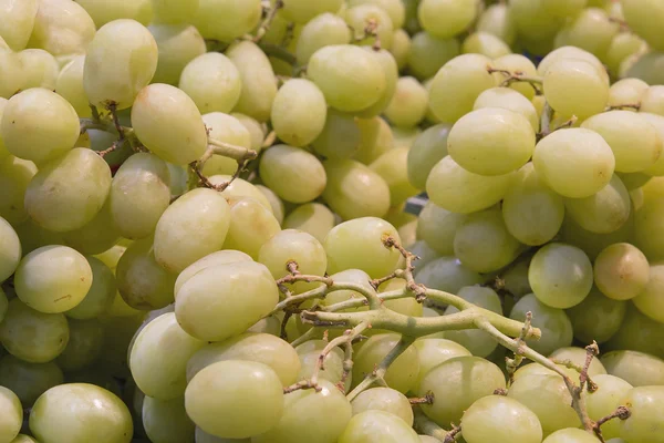 Seedless Green Grapes Closeup — Stock Photo, Image