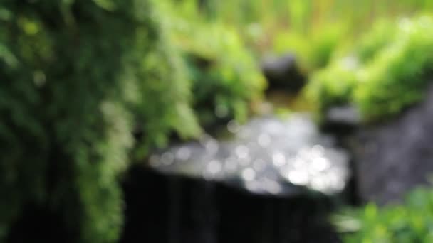 Fuera de foco Bokeh chispeante de la característica del agua y plantas verdes con el sonido calmante de la fuente en el jardín 1080p — Vídeos de Stock