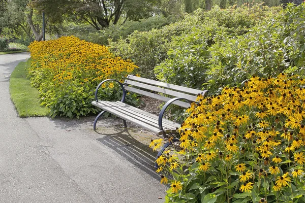 黒スーザン花と公園のベンチ — ストック写真