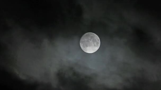 Lua cheia com nuvens rápidas em movimento no céu escuro à noite 1920x1080 — Vídeo de Stock