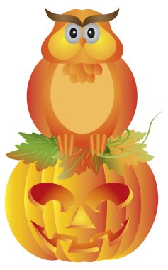 Kabak illüstrasyon oturan halloween baykuş