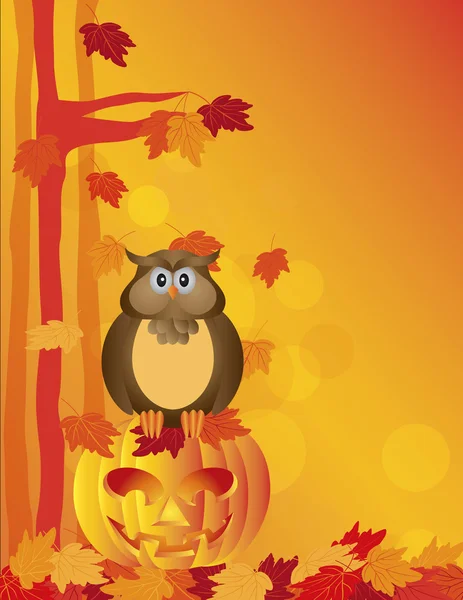 Búho de Halloween sentado en calabaza en el bosque Ilustración — Vector de stock