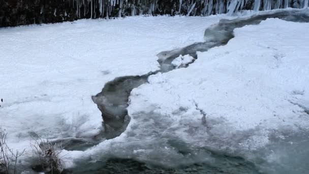 Поток воды вдоль замерзшего ручья в Deep Freeze Winter Portland Oregon 1080p — стоковое видео
