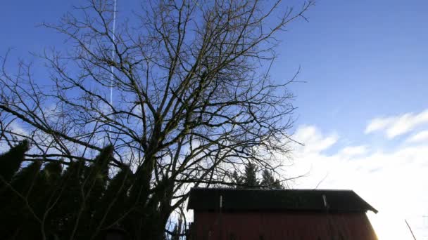 Moving White Clouds Timelapse with Blue Sky and Red Barn in Winter 1080p — Stock Video