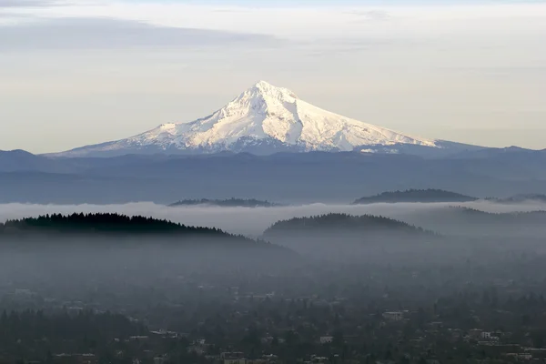 Mount hood met lage mist in de vallei — Stockfoto