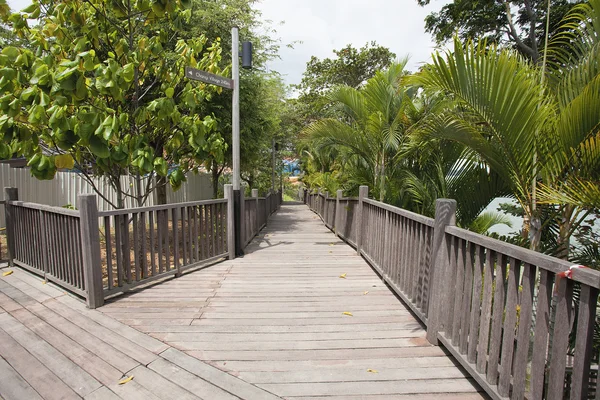 Changi Point Boardwalk — Stockfoto