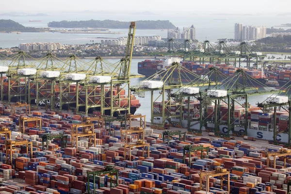 Singapur Port konteyner Tersanesi — Stok fotoğraf