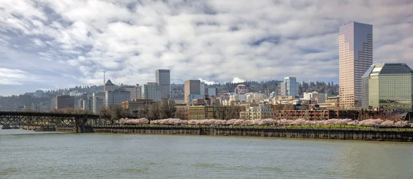 Wiśniowe kwiaty z Portland City Skyline — Zdjęcie stockowe