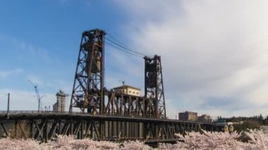 sezon mavi gökyüzü ve bulutlar zaman sukut 1080 p willamette Nehri waterfront portland Oregon boyunca hareketli çiçekli kiraz çiçeği ağaçlar bahar