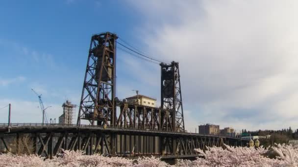 virágzó cseresznyevirág fák tavaszi szezon mozog felhők és a kék ég willamette folyó waterfront portland Oregon idő telik 1080 p