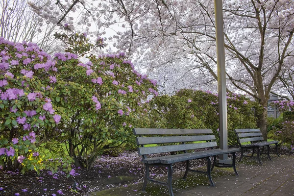 Lentetijd in het park — Stockfoto