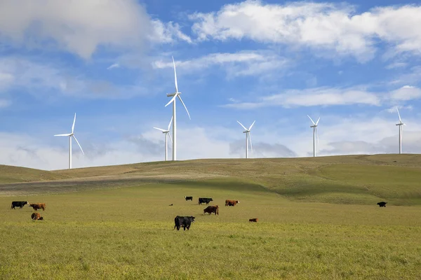 Windpark im Bundesstaat Washington — Stockfoto