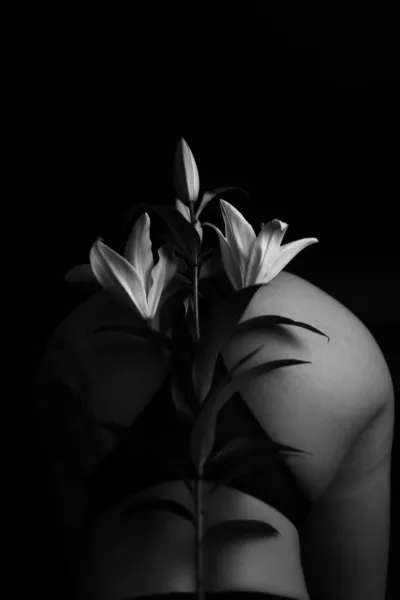 Ein Frauenkörper Und Ein Zweig Einer Weißen Lilie — Stockfoto