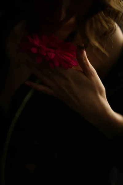 Gerbera Rose Dans Les Mains Une Femme Sur Fond Sombre — Photo