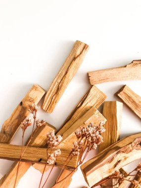Palo Santo 'nun yakın çekimi, Kutsal Tahta çubuk beyaz arka planda. Latin Amerika 'dan organik kutsal ağaç tütsüsü.
