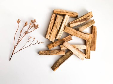 Beyaz arka planda Palo Santo marka tahta çubuklar. Aromaterapi, dini ayinler ve meditasyonlar. Latin Amerika 'dan organik kutsal ağaç tütsüsü.
