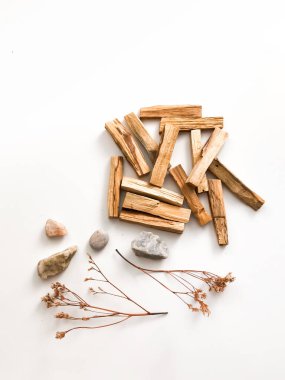 Beyaz arka planda Palo Santo marka tahta çubuklar. Aromaterapi, dini ayinler ve meditasyonlar. Latin Amerika 'dan organik kutsal ağaç tütsüsü.