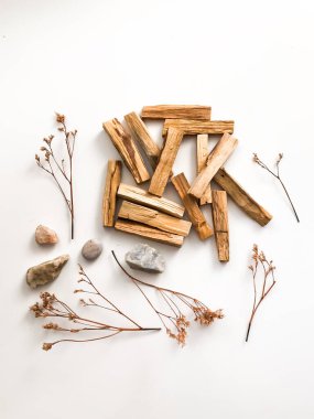 Beyaz arka planda Palo Santo marka tahta çubuklar. Aromaterapi, dini ayinler ve meditasyonlar. Latin Amerika 'dan organik kutsal ağaç tütsüsü.