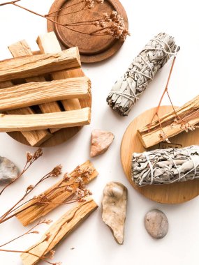 Doğal tütsü, Beyaz Bilge ve Palo Santo. Güney Amerika 'nın kutsal ağacı, renkli kare fotoğraf. Beyaz bilge ve beyaz arka planda Palo Santo.. 