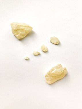 Jatoba ağacının doğal reçinesi beyaz arka planda. Güzel arkaplan ve metin için yer, kutsal ağacın sarı reçinesi.