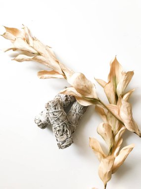 Kaliforniya beyaz adaçayı, güzel bir düzen ve üst manzara, tütsü ve kurumuş çiçekler beyaz arka planda