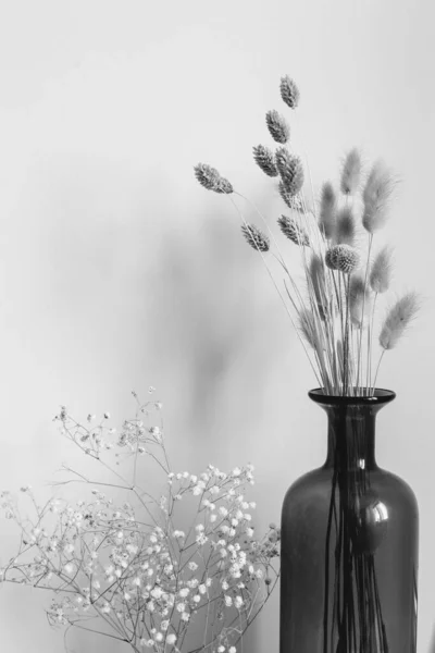 Kurumuş Çiçek Dalları Tomurcuklar Beyaz Bir Arka Planda Yakın Plan — Stok fotoğraf