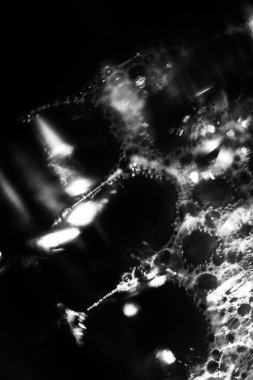 soyut siyah ve beyaz frizlight, parıltı ve lekeli ve bulanık, gürültülü görüntüler