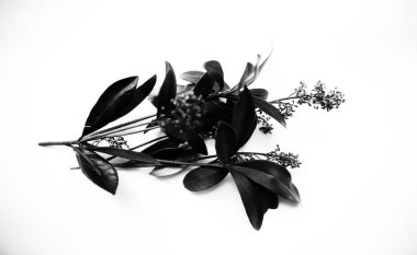 siyah ve beyaz çiçekler. Bitkilerin ve çiçek siluetlerinin soyut arkaplanı. Şık desen. karşıtlık resmi