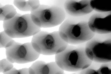 soyut siyah ve beyaz frizlight, parıltı ve lekeli ve bulanık, gürültülü görüntüler