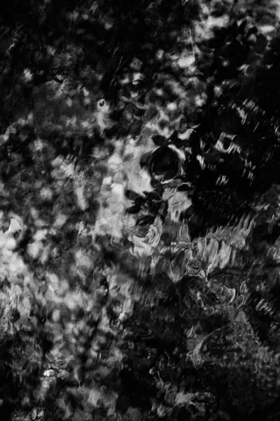 Инвертированный Мир Черно Белая Природа Текстура Воды Растений Деревьями — стоковое фото