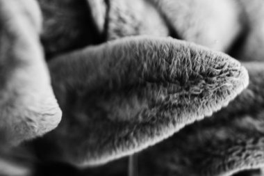 yaz karanlık soyut arka plan, bulanık ve bulanık, yumuşak odak