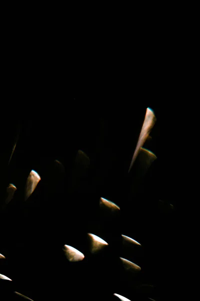 Fundo Escuro Abstrato Com Partículas Azuis Brilhantes Borrão Bonito Bokeh — Fotografia de Stock