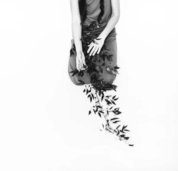 Люди Растения Сушеный Цветок Руках Женщины Красивая Минималистическая Рамка Темным — стоковое фото